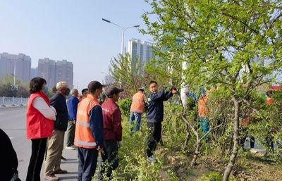 三門峽市綠化工程管理處 開展綠化技能培訓，提升養護管理水平