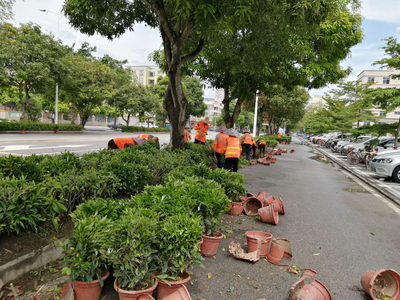 市城管綜合執法局多措并舉加強園林綠化管理