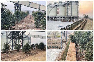 中淮礦業年產600萬噸砂石骨料生產線綠化管理實踐與成效