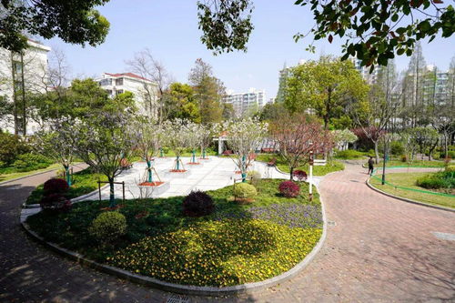 家門口的綠意時光 普陀這兩個小花園，你逛過了嗎？