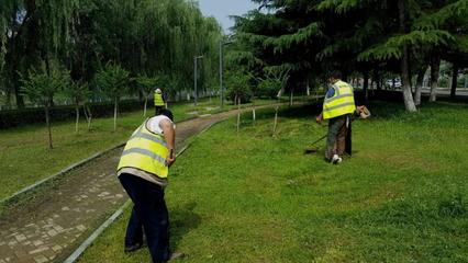 區住建局加強夏季園林植物養護管理，提升城市綠化品質