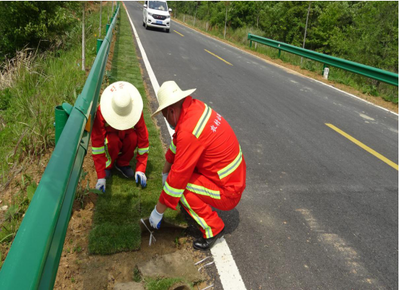 永佳河鎮 強化“四好農村路”沿線綠化管理 打造生態宜居美麗廊道